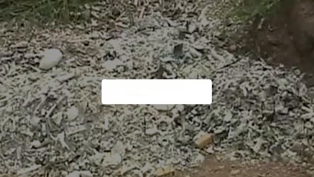 This Woman Was Caught Playing with Skeletons In A Graveyard смотреть онлайн