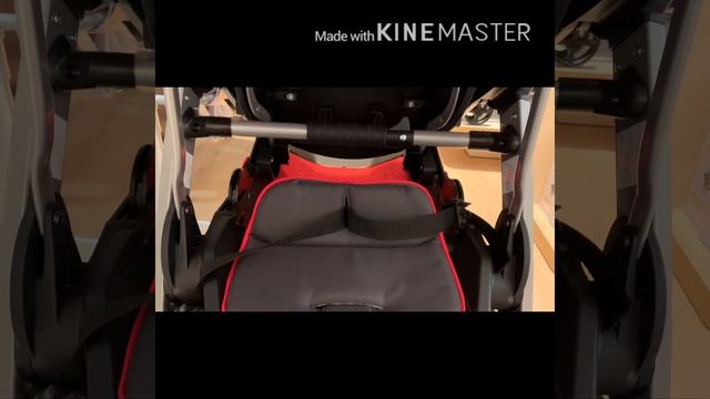 Chicco Stroll in 2 Stroller Review смотреть онлайн