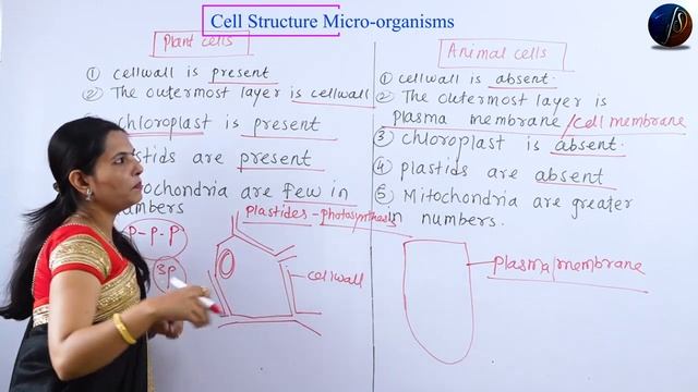 7th Science | Cell Structure and Micro-organisms | Part - 5 | Chapter -11 | Maharashtra Board смотреть онлайн
