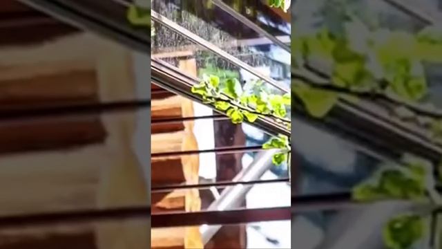 Ролл-окна – изящная защита для террас, беседок и веранд #остекление #мягкиеокна #дача #дом смотреть онлайн