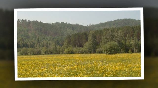 День геолога профессиональный праздник смотреть онлайн