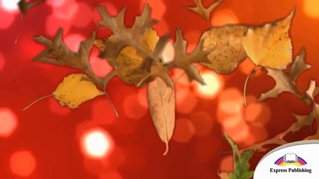 EXCEL 5 Module 9 Happy all year round смотреть онлайн