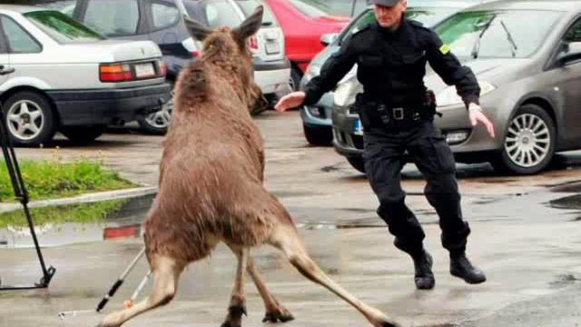 Незаконное задержание сотрудниками полиции ППС за фото здания овд смотреть онлайн