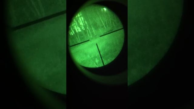 Starlight archer.MOV смотреть онлайн