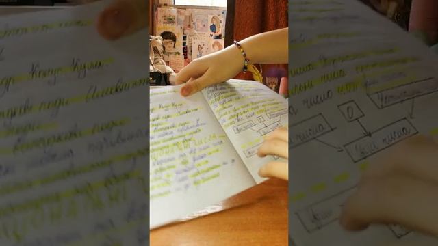 Как подготовиться к новому учебному году? Лайфхаки, и советы? смотреть онлайн