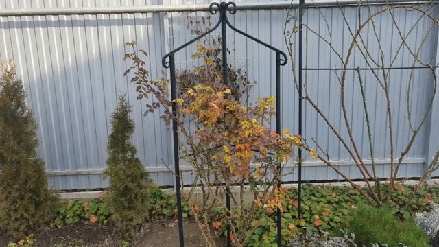 Мода и Стиль для Женщин