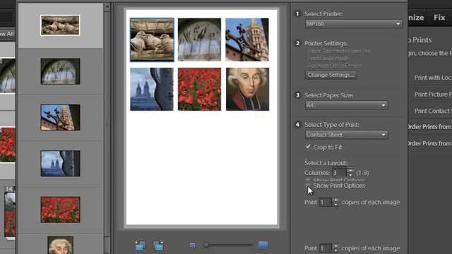 Photoshop Elements: Improved Print Workflow with the Organizer смотреть онлайн