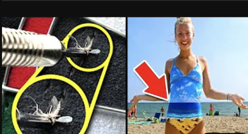 Совпадения На Миллион 2