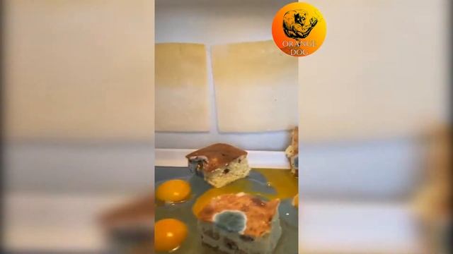 Культура хранения еды в холодильнике / The culture of keeping food in the refrigerator 2021 смотреть онлайн
