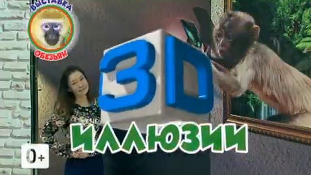 Братск Выставка Обезьян смотреть онлайн