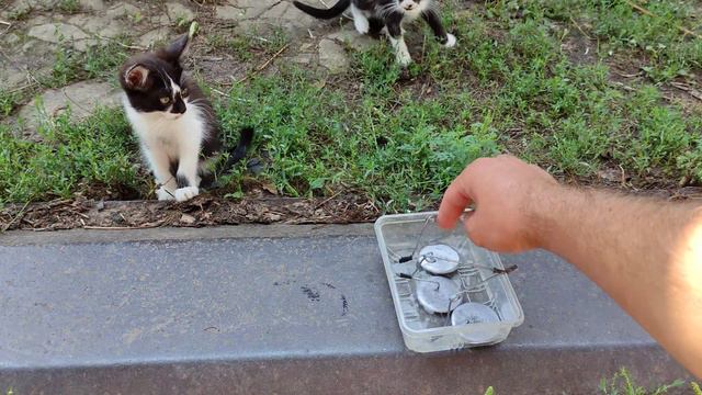 Как темнить свинцовый груз в домашних условиях. Как и зачем окислять свинцовый груз. смотреть онлайн