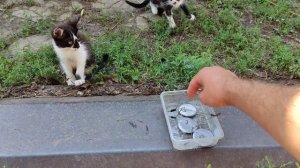 Как темнить свинцовый груз в домашних условиях. Как и зачем окислять свинцовый груз.