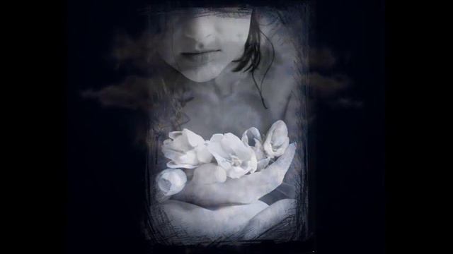 Видеоролик "Любовь - это сердце всего!" смотреть онлайн