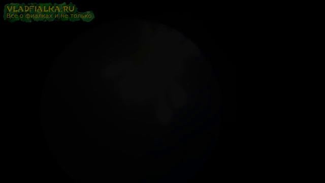 Паутинный клещ смотреть онлайн