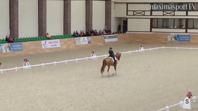 Алена Золотухина (Баронин, Кубок России по выездке, Maxima Stables) 66% смотреть онлайн