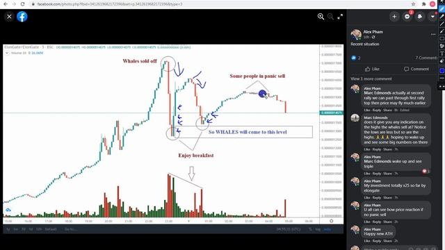 ELONGATE TOKEN : How Panic Selling React to the Price смотреть онлайн