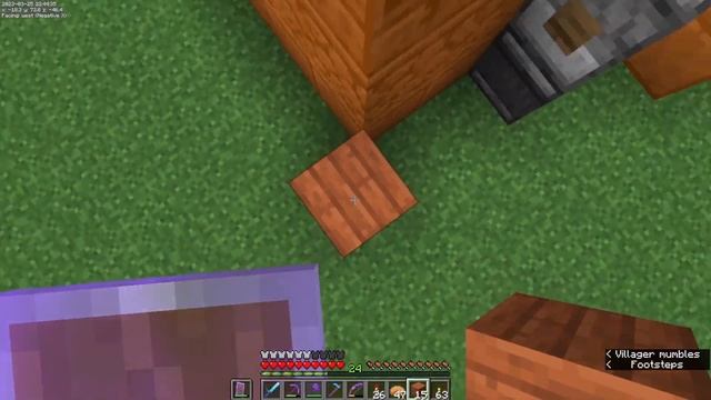 Lichen Farm and Second Floor - Minecraft Java 1.19 Vanilla Survival Let's Play Ep. 0377 смотреть онлайн