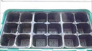 Мини парник для рассады на подоконнике с кассетами. Отзыв #2