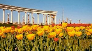 Родилась и выросла - в Казахстане.