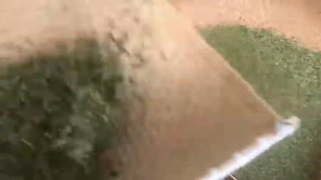 Сортируем свежий зеленый чай Сиху Лунцзин в Ханчжоу! смотреть онлайн