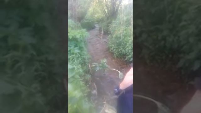 Челябинская область,рыбные места,ловля карася руками смотреть онлайн