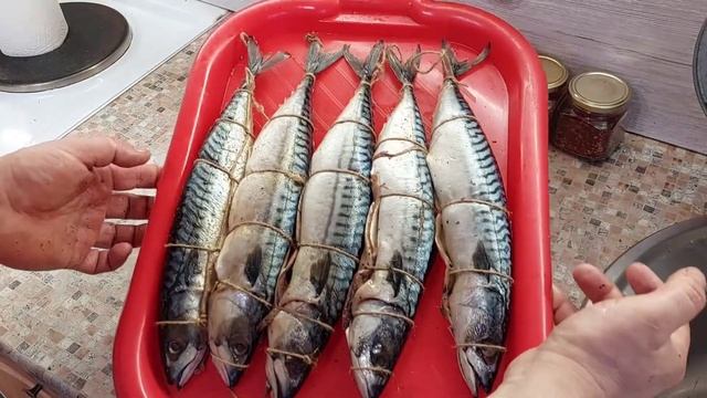 СКУМБРИЯ ГОРЯЧЕНО КОПЧЕНИЯ по-новомосковски.