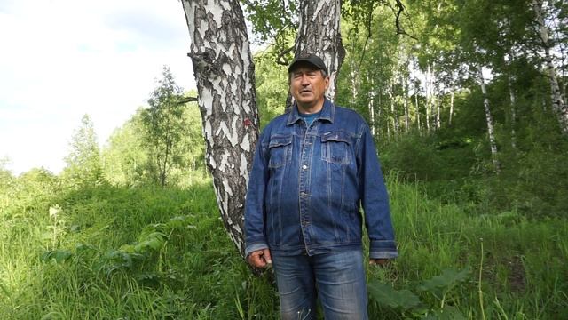 Диаметр деревьев смотреть онлайн