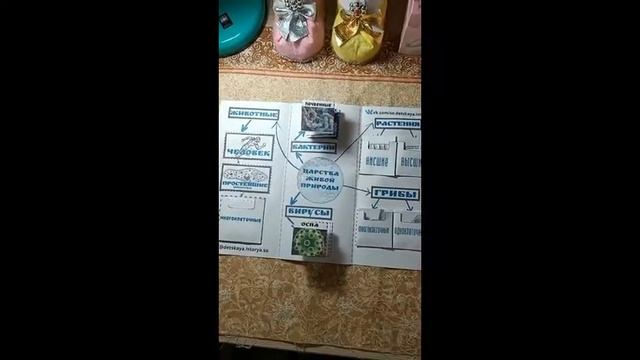 Лэпбук "ЦАРСТВА ЖИВОЙ ПРИРОДЫ" смотреть онлайн