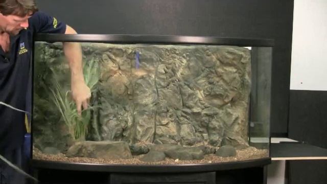Installing a Custom 3D Rock Background Wall in Aquariums or Fish Tanks смотреть онлайн