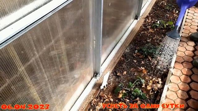 06.04.2023 Сеем редис, капусту,сажаем клубнику? в теплицу, лук ? на выгонку смотреть онлайн