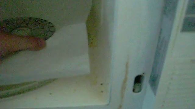 Microwaving a CD! 4 смотреть онлайн