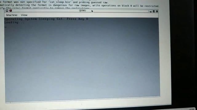 Sleeping Cat micro OS. 2023. Qemu. Nasm