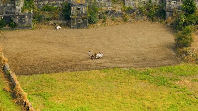 Индия. HD Видео смотреть онлайн