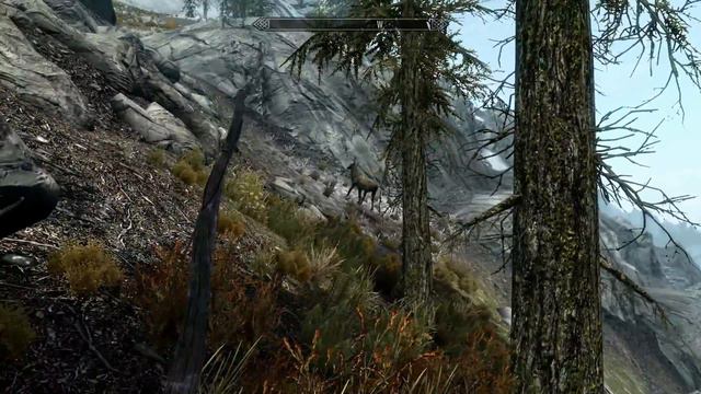Skyrim "Bug" Clignotement de l'eau, et du jeu, Fixé "Solution dans la Description" смотреть онлайн