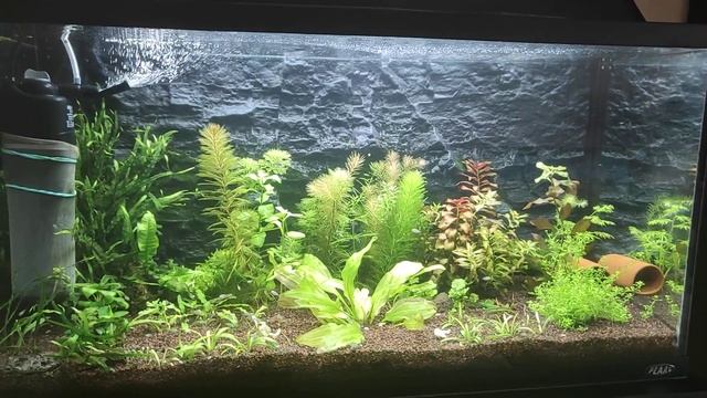 Аэрация в аквариуме, Удобрения