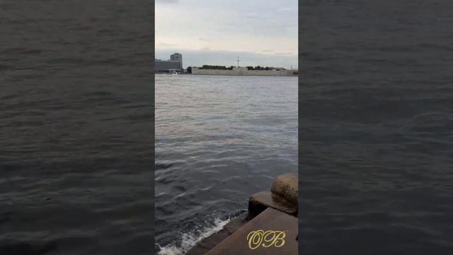 Подготовка к ВМФ в Питере 27.07.23г смотреть онлайн