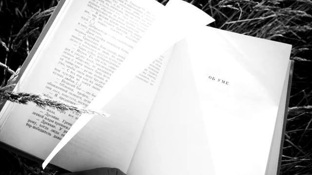 "Эго, голод и агрессия" Фредерик Перлз IX, X, XI, XII, XIII главы смотреть онлайн