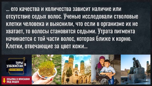 Почему мы седеем смотреть онлайн