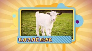 Учим Домашних Животных ? Голоса и Звуки Животных Для Детей ? Как Говорят Живот