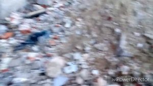 Нашли труп на. Заброшке(((