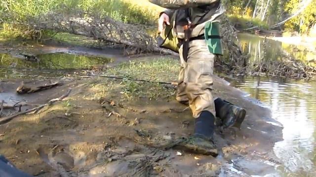 Рыбалка крупный хариус Коми на таежной речке под упавшей елкой смотреть онлайн
