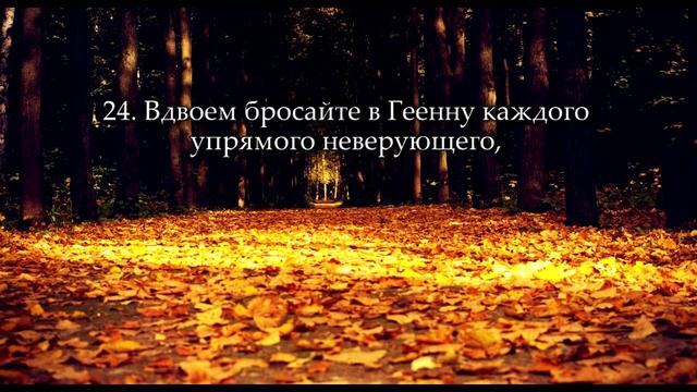 Вади' аль Ямани. Сура "Каф" (16-35) смотреть онлайн