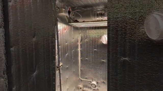 Базовый Гроубокс Flasher 100 смотреть онлайн