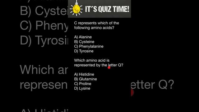 Amino acid's one letter code quiz - 3 смотреть онлайн