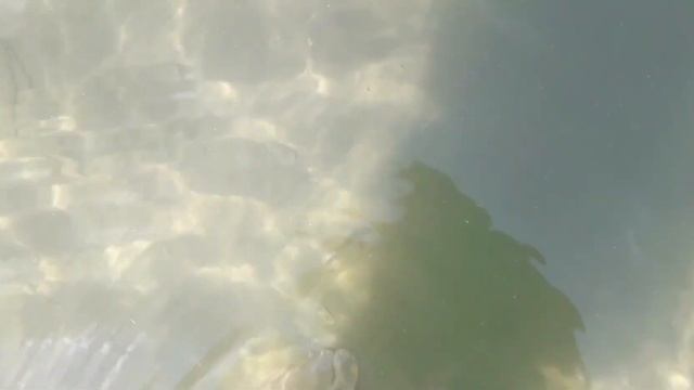 Мы на озере Акакуль! Какая погода, какая вода это песня!!!! смотреть онлайн