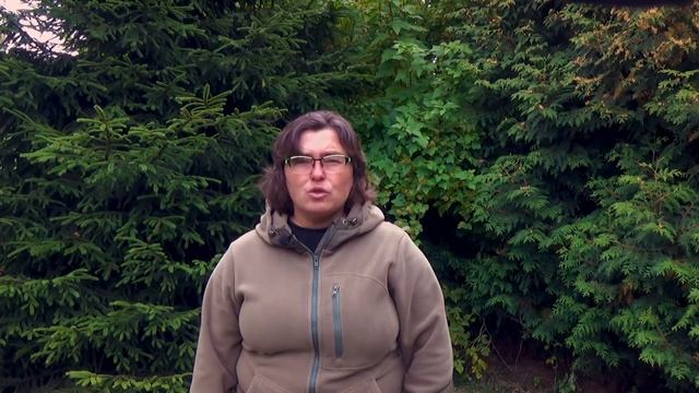 Ирис сибирский  виды, агротехника, размножение...