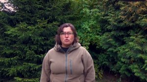 Ирис сибирский  виды, агротехника, размножение...