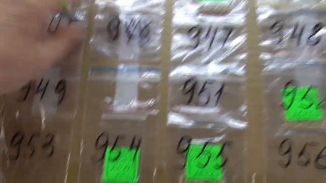 Как хранить семена, если выращиваете много сортов? Показываю свои семенные планшеты. смотреть онлайн