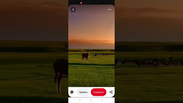 Тойға шақыру жасап үйрен | Пинтерест #үйрену #пинтерест #шақырубилеті #видеошақыру #тойғашақыру #то смотреть онлайн