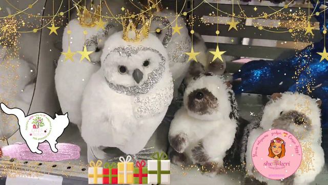 🎄Судя по количеству людей в Ашан - лучших перемен хотят многие 🎅ведь в нг появляется надежда 🙏 смотреть онлайн